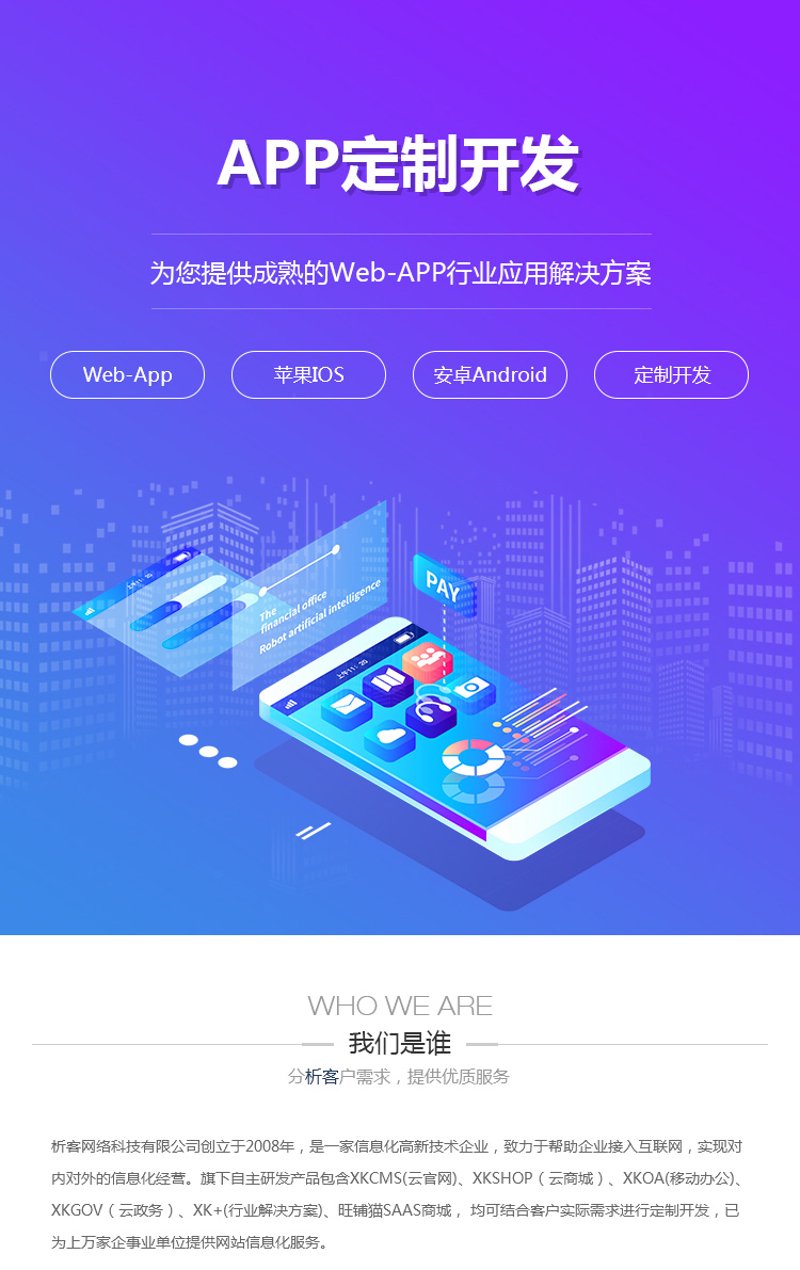 企业软件定制:创新之道